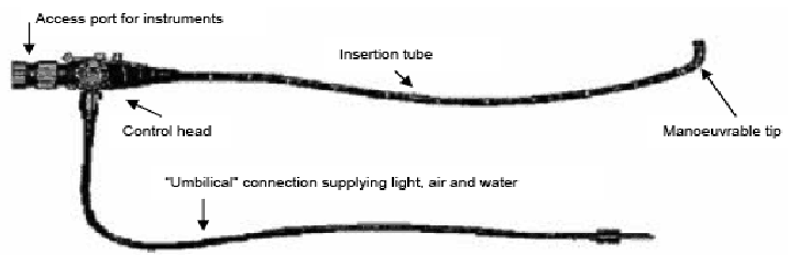 1032_Components of endoscope.png